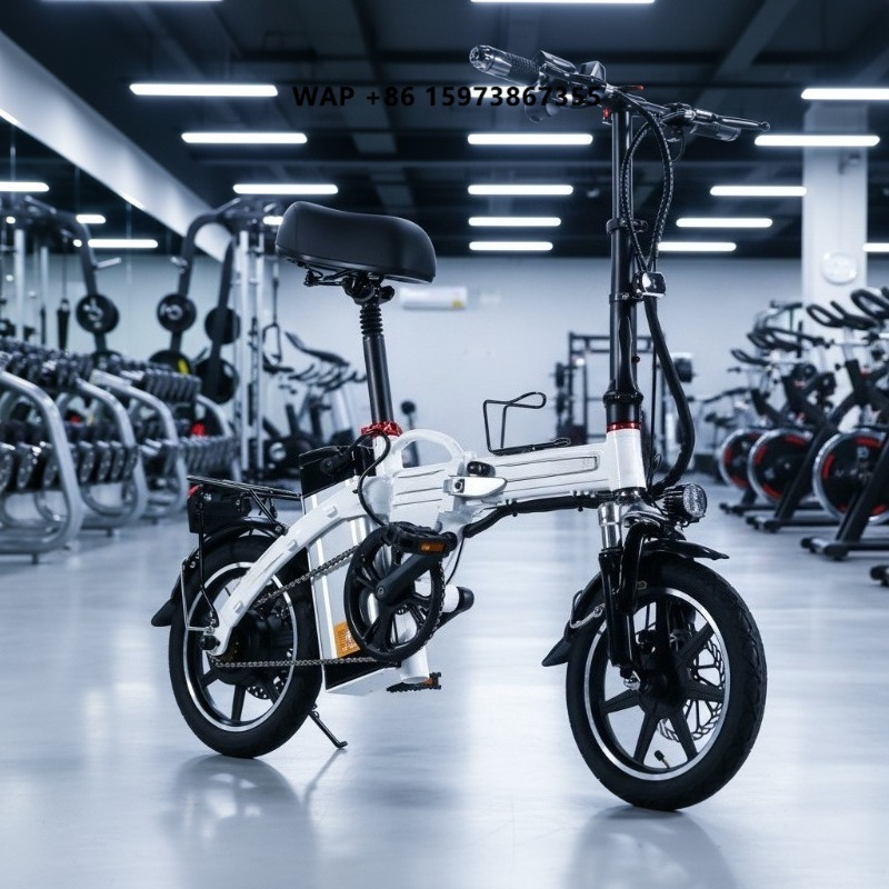 Bicicletta Elettrica Pieghevol - Commuter Biking recensione e prezzo