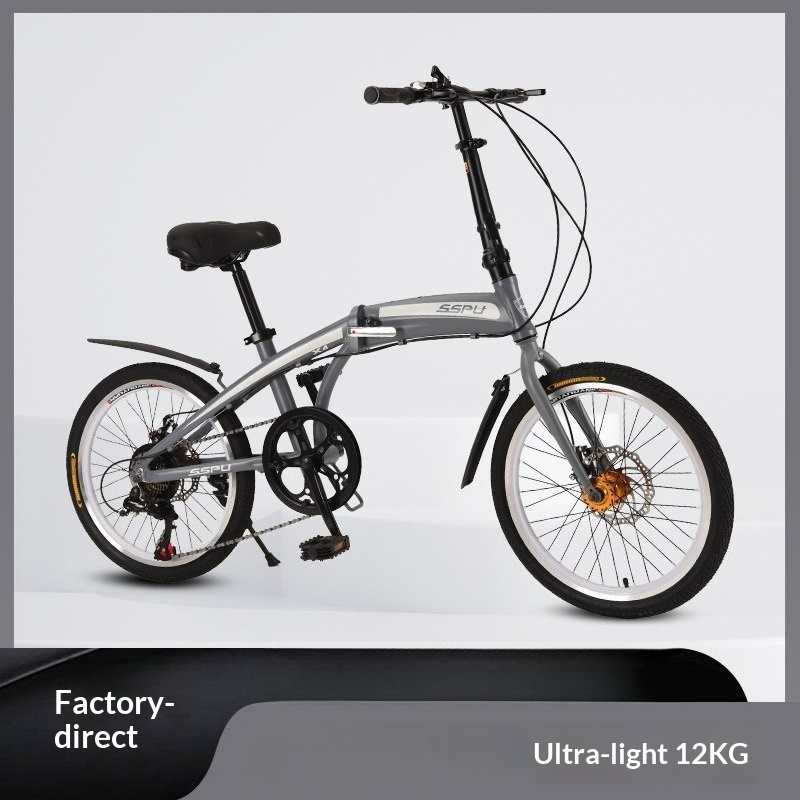 Bicicletta Pieghevole 20 Polli - Commuter Biking recensione e prezzo